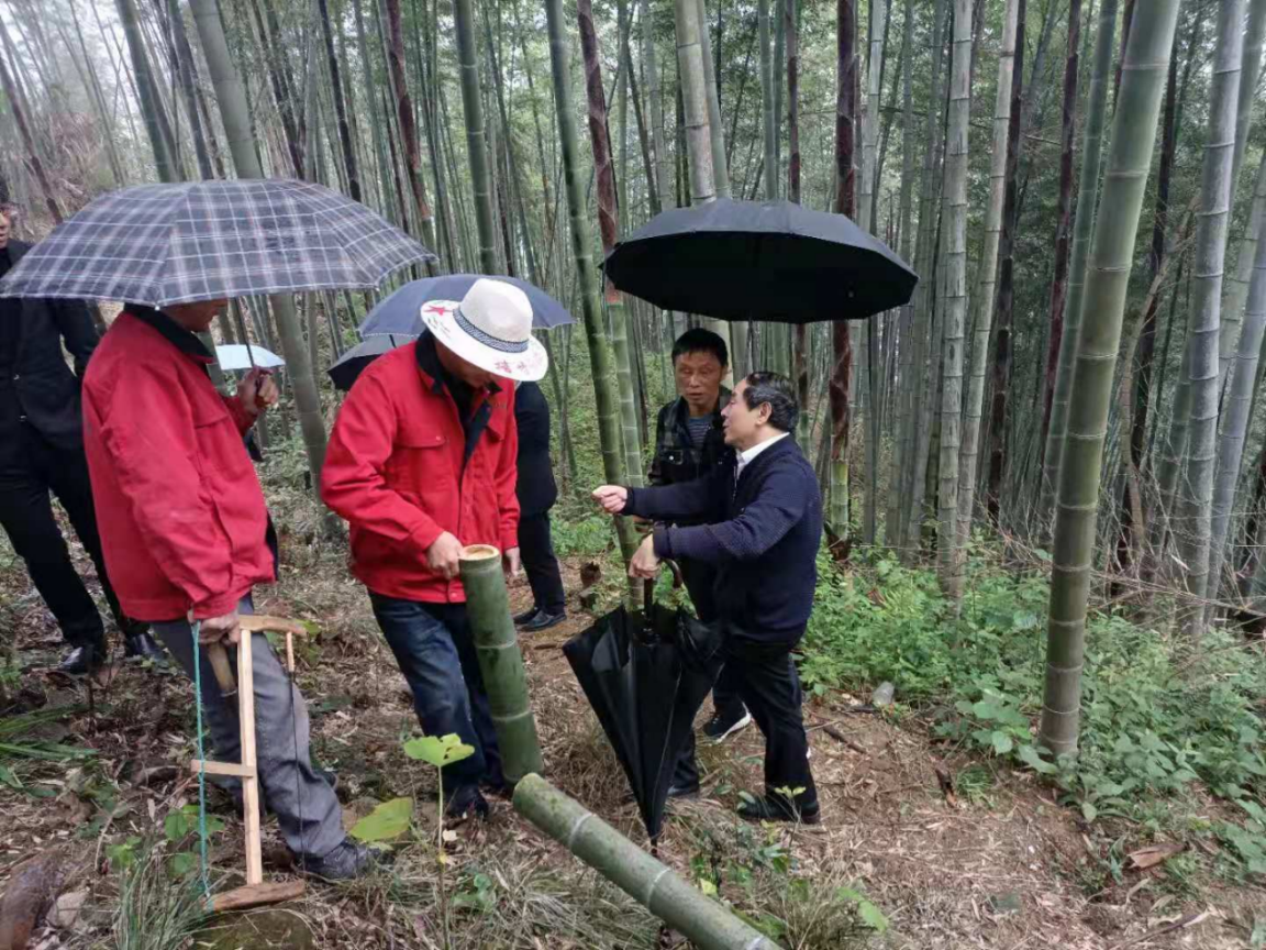 当好店小二 咸宁市市场监管局到通城县调研食品质量工作