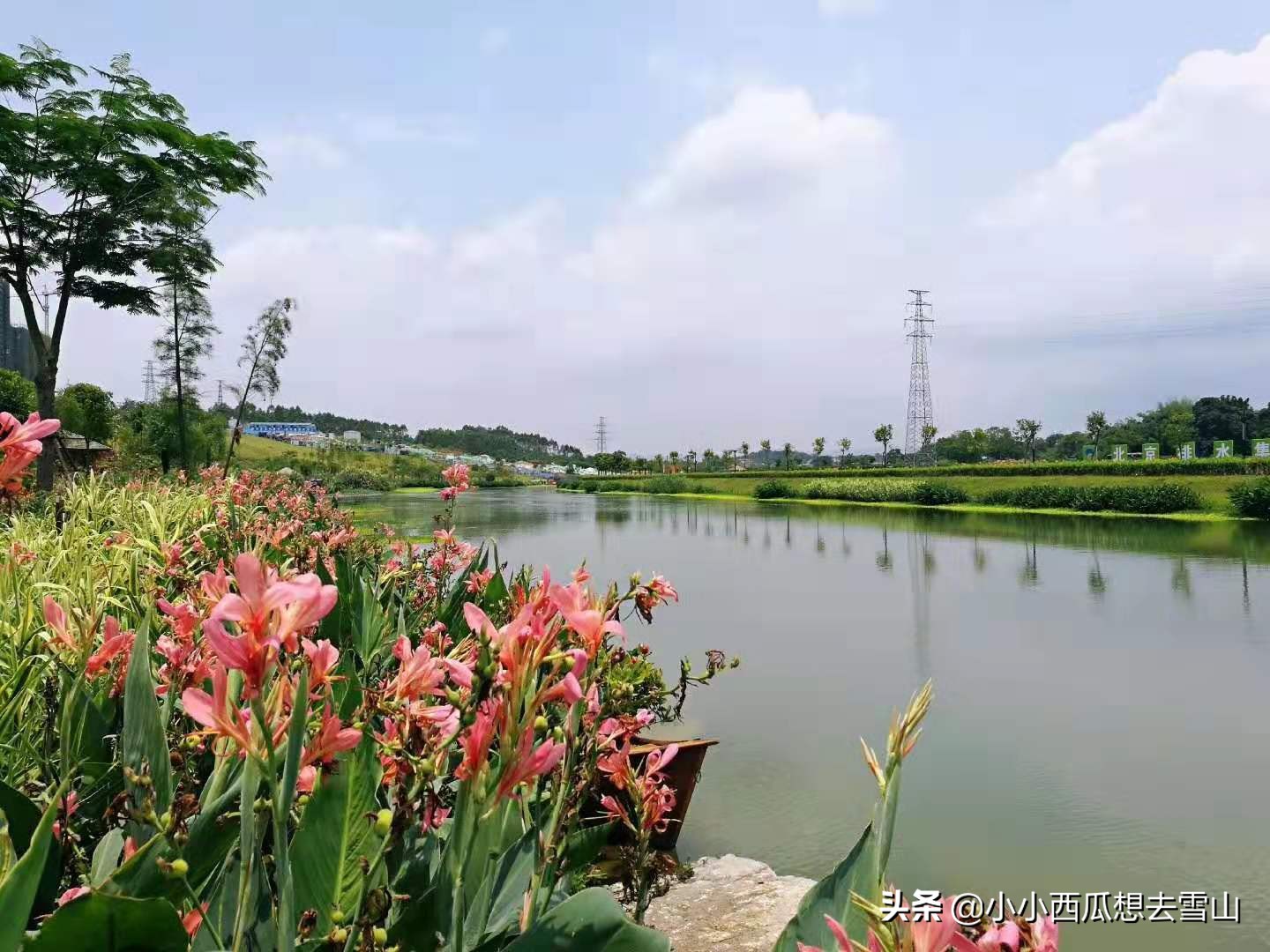 南宁最神奇的公园，曾是臭水沟，现今却美不胜收，还上了央视新闻