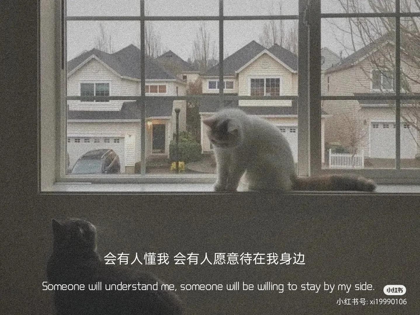 适合发动态的短句一定要看哦！