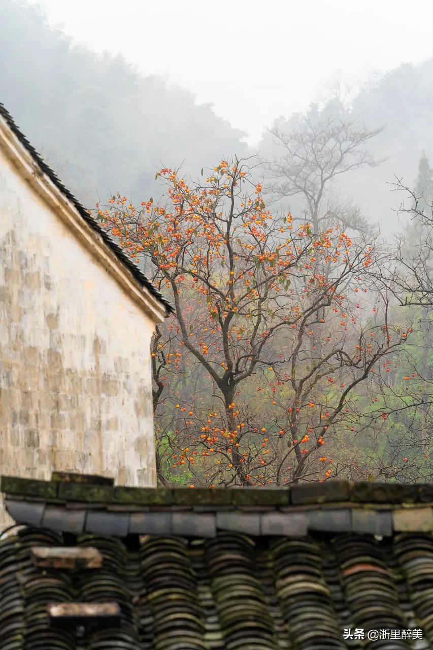 10 ancient towns with beautiful autumn colors, if you are tired, go to stay for a few days