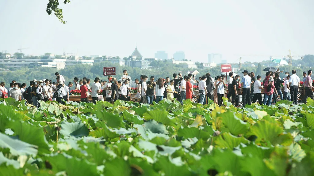 ����������ó���������й��򲻿����Ӱ