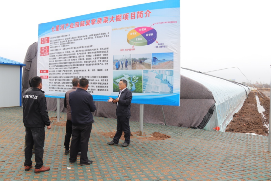 山东省莱西市：脱贫群众蔬菜大棚忙增收