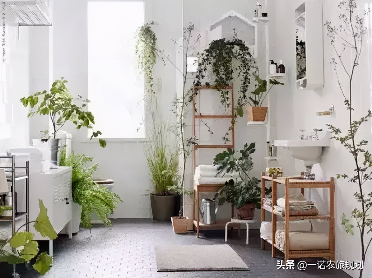 如何用花花草草，布满屋里屋外？