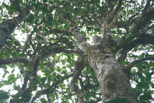 城市的茶席，第一期活动圆满结束