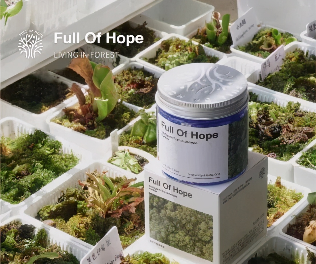 「日用品」家清集团时宜获数千万元融资，仅两款产品每月售千万