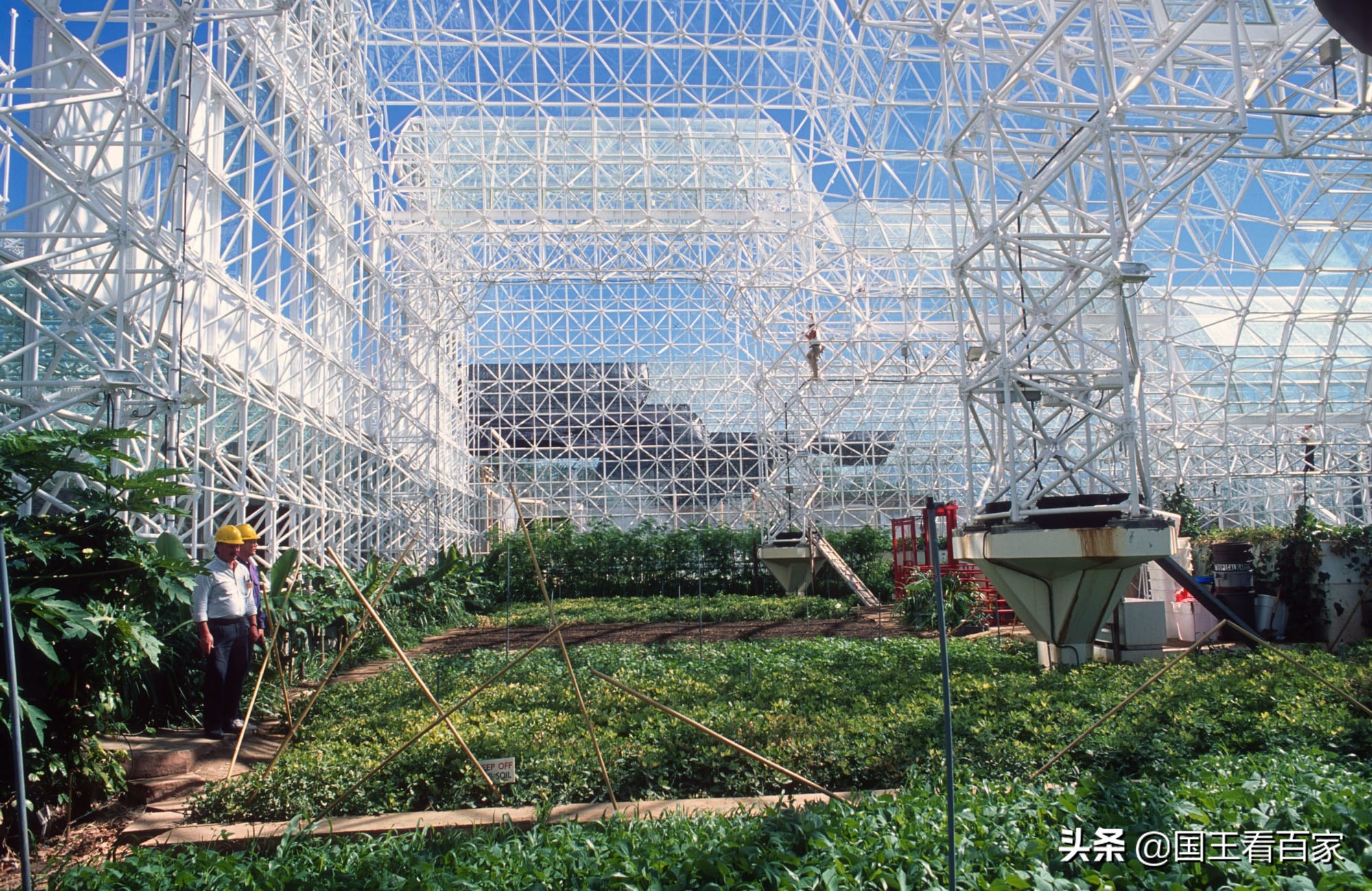 9年前，生物圈2号彻底失败，隔离两年，只为再造