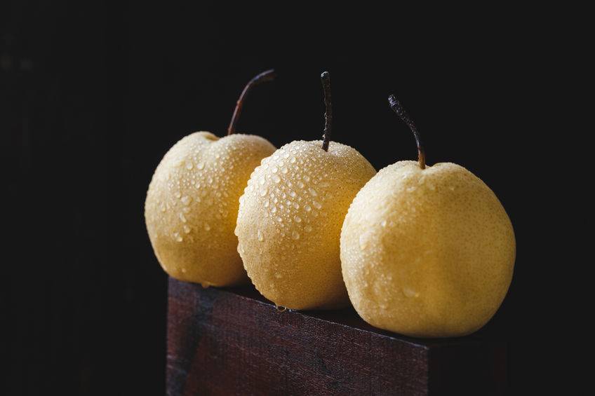 冬季養生先養肺？ 寒潮席捲全國，勸你多吃這4種食物，潤肺止咳