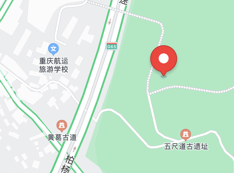 北京夫妻来重庆开的民宿，467元一晚，被他们当作真正的家