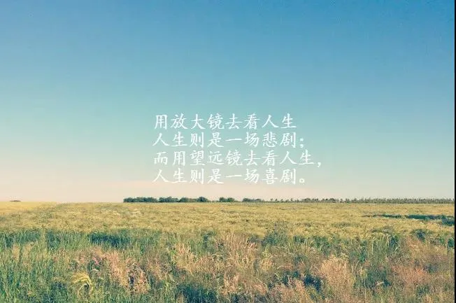 关于人生感悟的句子（人生哲理的句子经典） 第11张