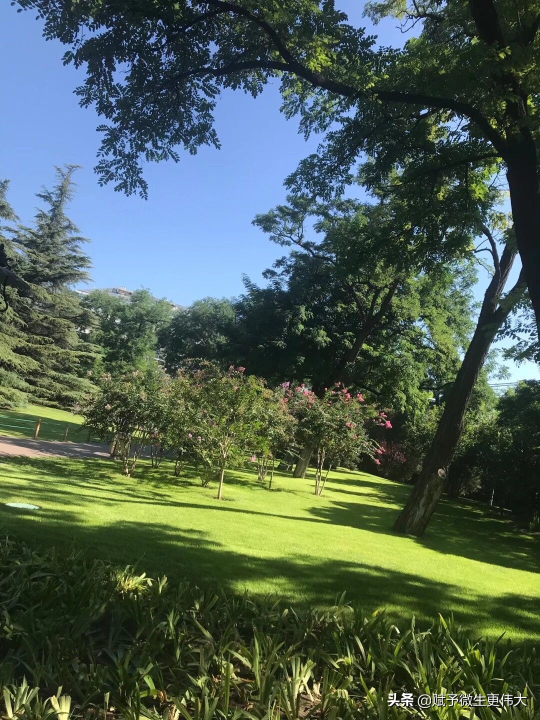 明见秋雨——愿天下有情人终成眷属
