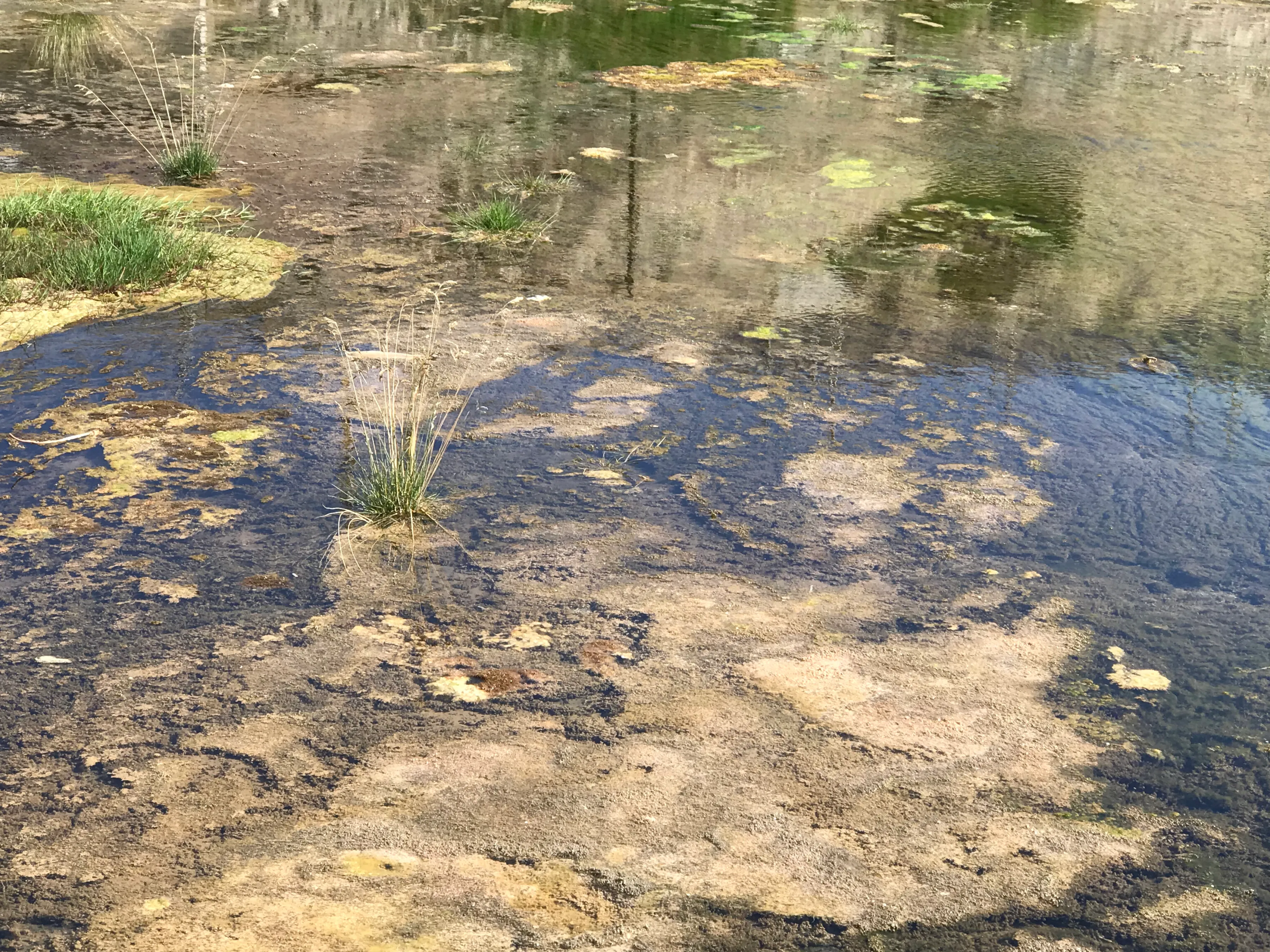 Colorful Qaidam (6) Golmud