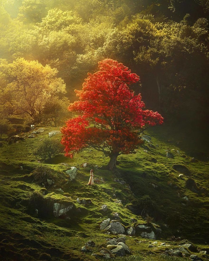 Annulus of 36 pieces of husband and wife swims world trip is illuminated, beauty of every Zhang Dou becomes fairy tale world, 