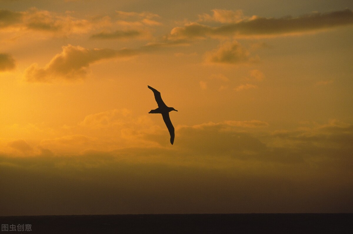 没什么，普通人也可通过自我精进和自主创业，走向自由生活之路