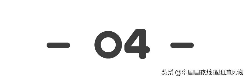 Person of 100 million Shandong, it is the child of the steamed bread