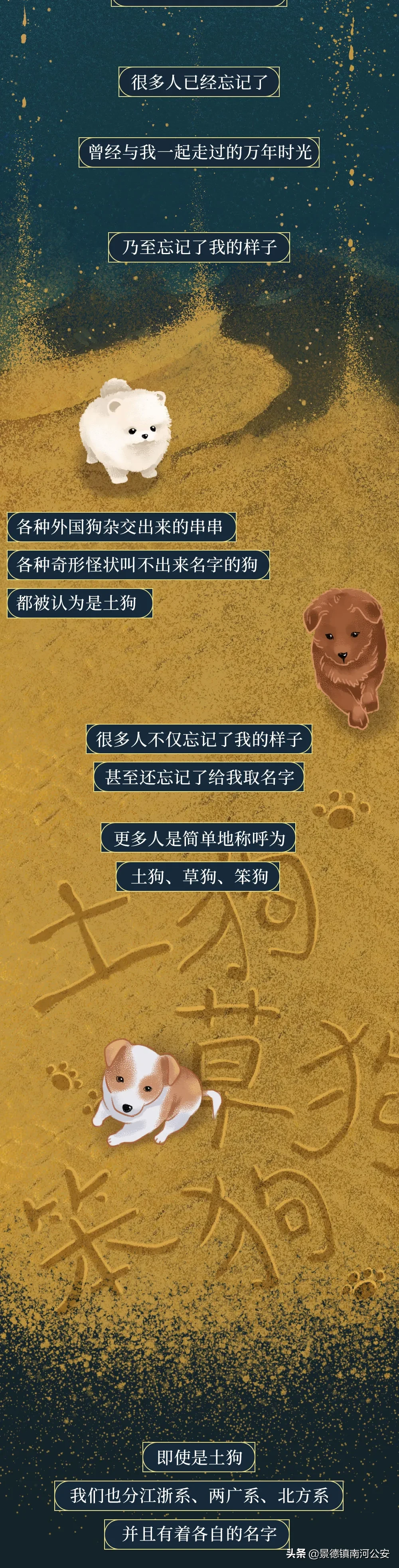 你凭什么看不起中国土狗？