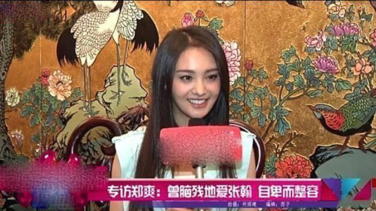 为张翰整容，给胡彦斌写书，帮张恒开公司，郑