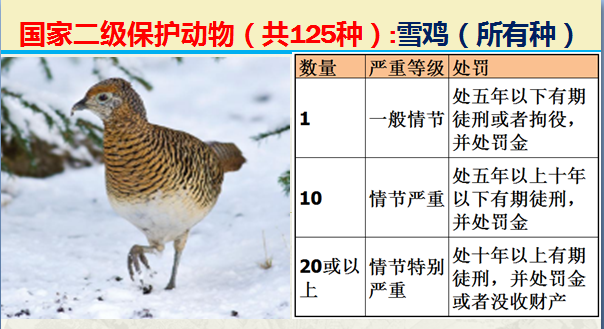 国家最新125类二级野生保护名录，图片及违法对应刑责