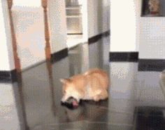 新“八国联军”齐聚太平洋应对中国？英国派航