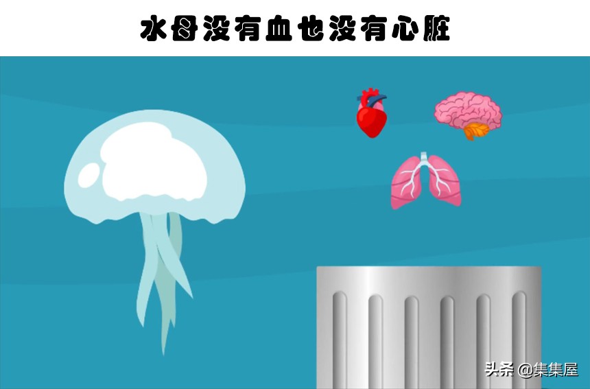 对于动物爱好者而言，相当有趣的10个有趣事实-第5张图片-大千世界