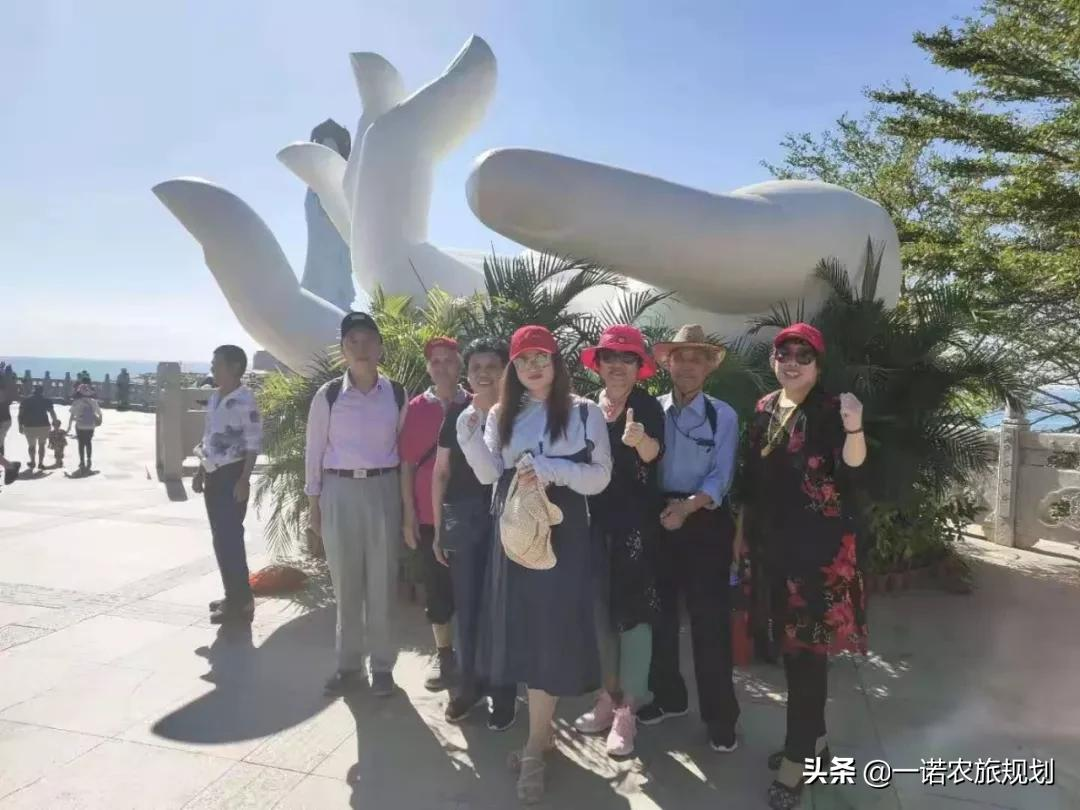 案例：乡村振兴项目政策和补贴