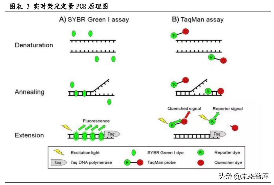 伴随诊断行业研究：核心技术突破不断，伴随诊断迎高速发展期