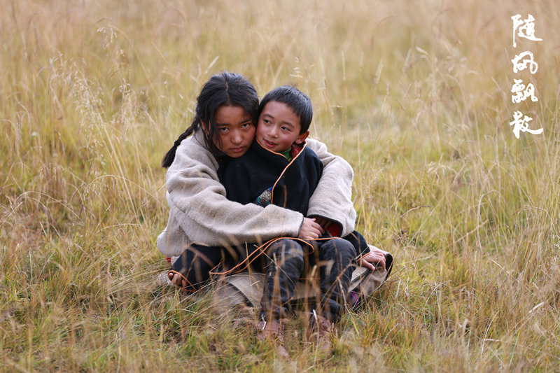 电影《随风飘散》定档12月28日 聚焦藏族女性重拾爱与勇气