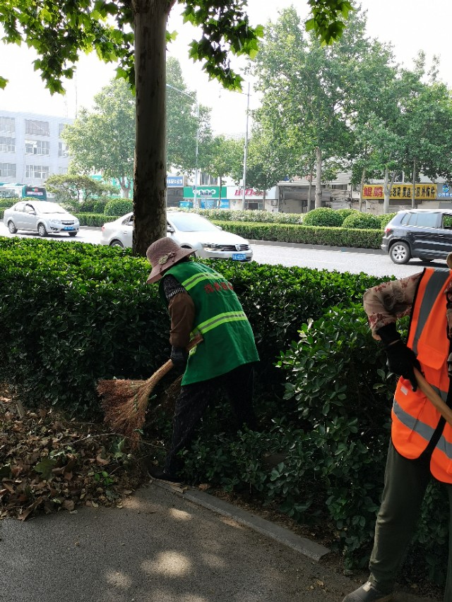 如何用园林栽培技术防治园林植物病虫害