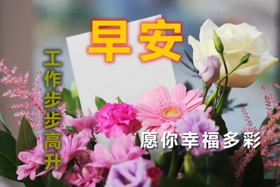 好看的早上好的祝福语图片大全,唯美早上好动态表情包图片