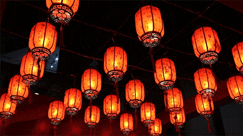 ���������ڸڡ��¾�ÿһλ�����ߣ�