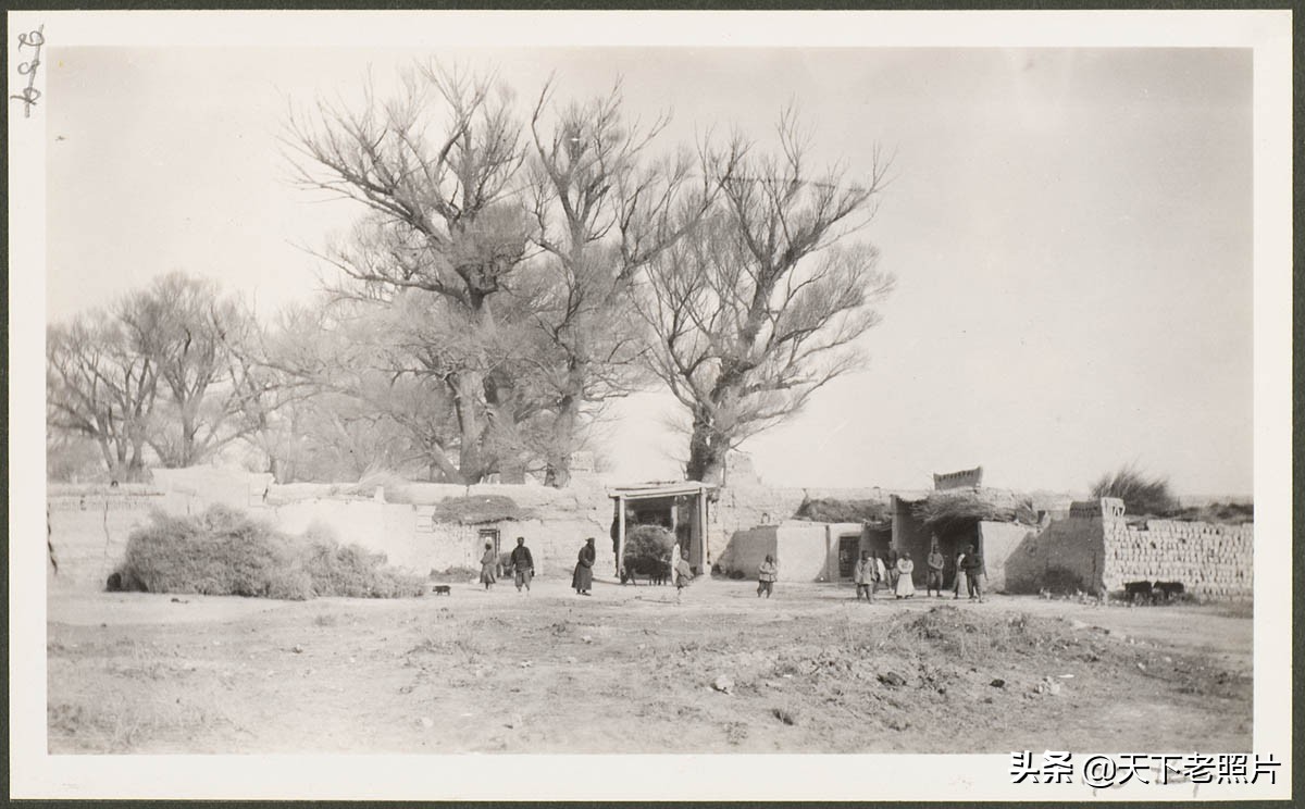 1910年甘肃安西县（今瓜州）老照片 百年前瓜州乡野景象