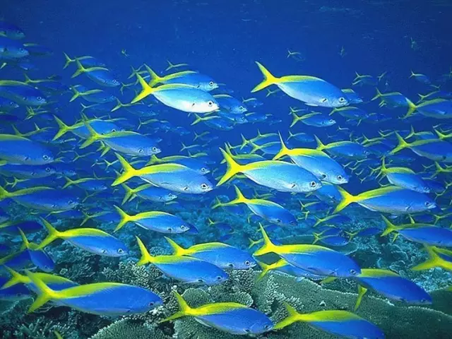 另一个角度看海南！重磅经济政策下的海南，那