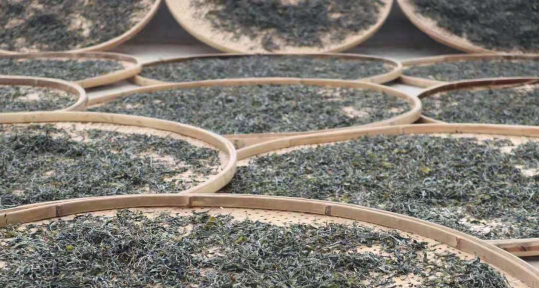 200万吨库存茶根本喝不完！谁能引领中国茶叶第三次产业革命？