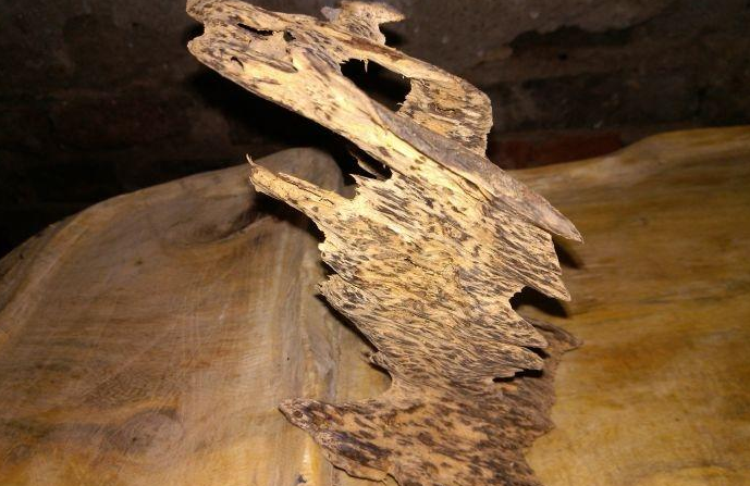 福建发现3吨重的“龙床”，专家劝上交，藏友：