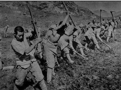 老百姓集体抢劫日军，日军居然还忍了，整个抗