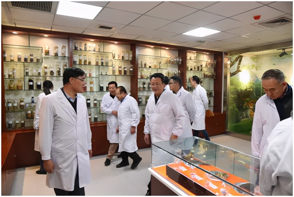 上海复星医药集团赴我省考察中医药产业