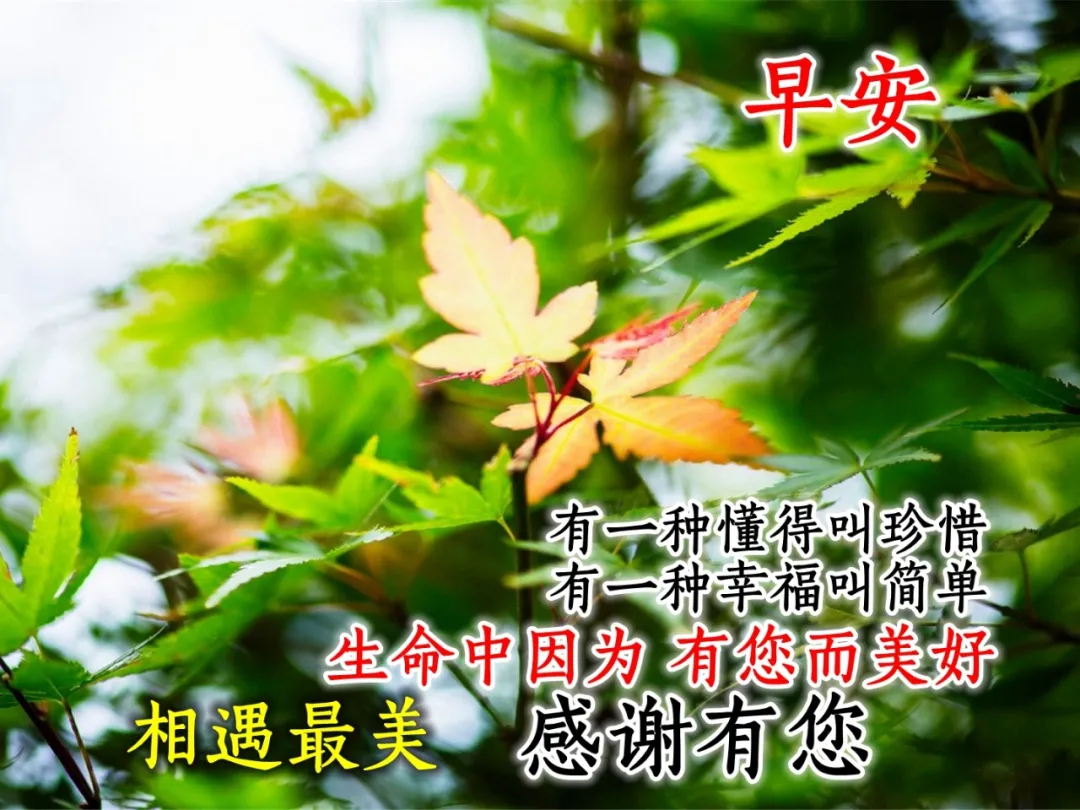 早上好表情动态 祝福语问候语 图片