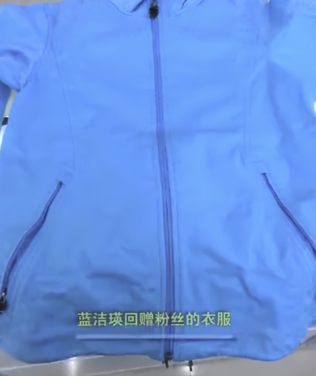 “九龙女”蓝洁瑛的陨落史，以及背后毁掉她的幕后黑手