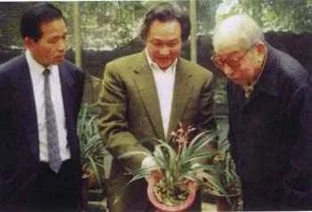 炒！炒币！炒鞋！炒玉！炒... 让普通人财富缩水的5次大坑！