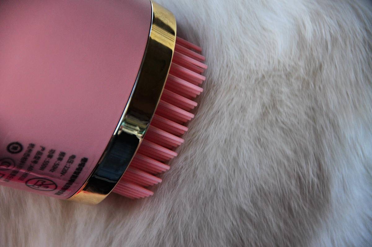 呵护宠物从吹梳开始，嗷喵喵智能宠物吹风梳体验