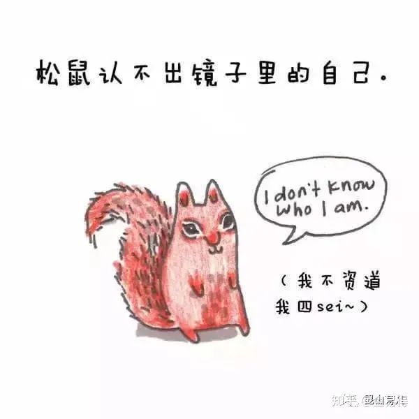 30個(ge) 有趣的科普小星空体育官网入口网站，你知道幾個(ge) ?