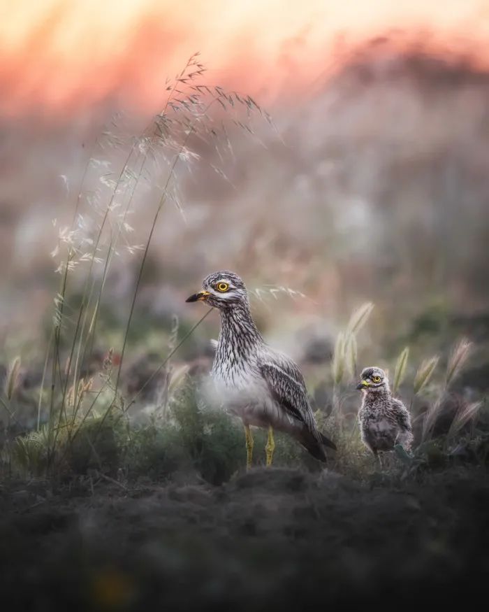 分不清是現實還是虛幻：45張攝影作品，捕捉大自然的神秘