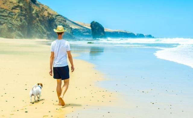 原来养狗有这10大“福利”，怪不得养的人多，我也想养一只