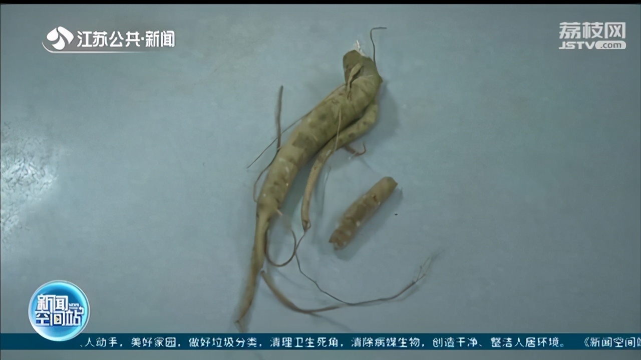 下地收红薯挖到&ldquo;人参&rdquo;没想到吃了一口就进了医院