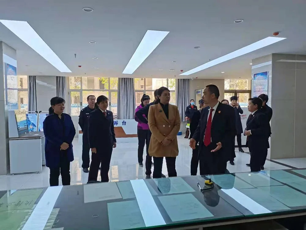 省妇联副主席马东平在靖远县调研《反家庭暴力法》实施情况