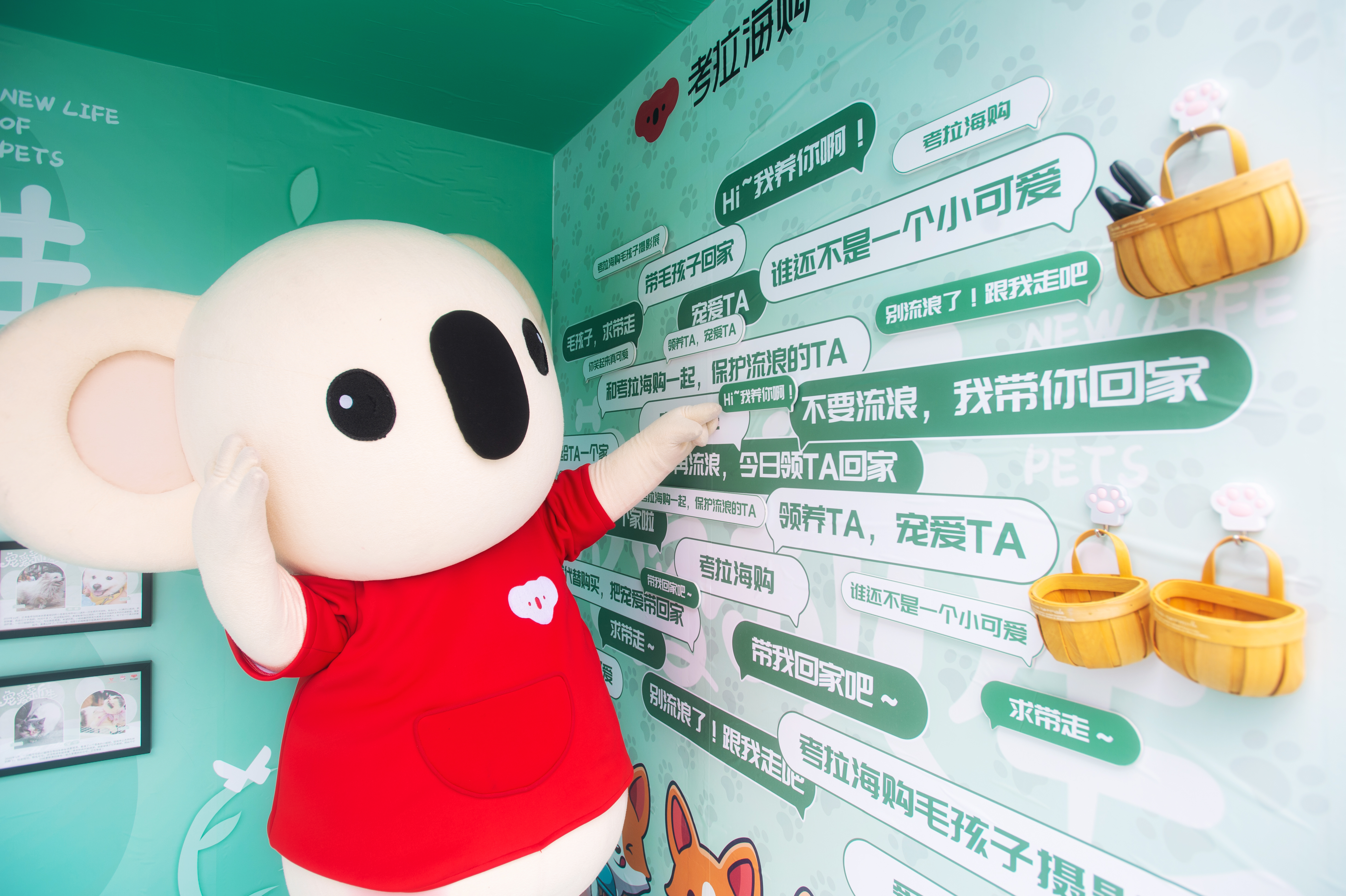考拉宠物开启2021最强暖流，花式守护每一个流浪的Ta