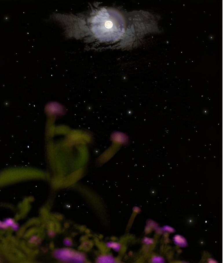 十首夏夜的诗词，从古人的视角​感受夏夜的美好-第20张图片-非凡网