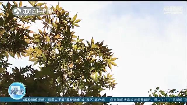 白露已至！江苏本周仍有30℃以上高温