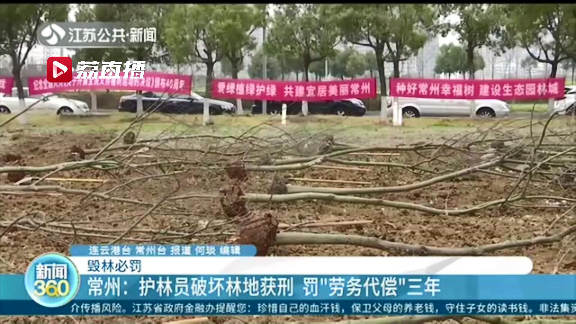 常州一护林员破坏林地获刑 罚&ldquo;劳务代偿&rdquo;三年