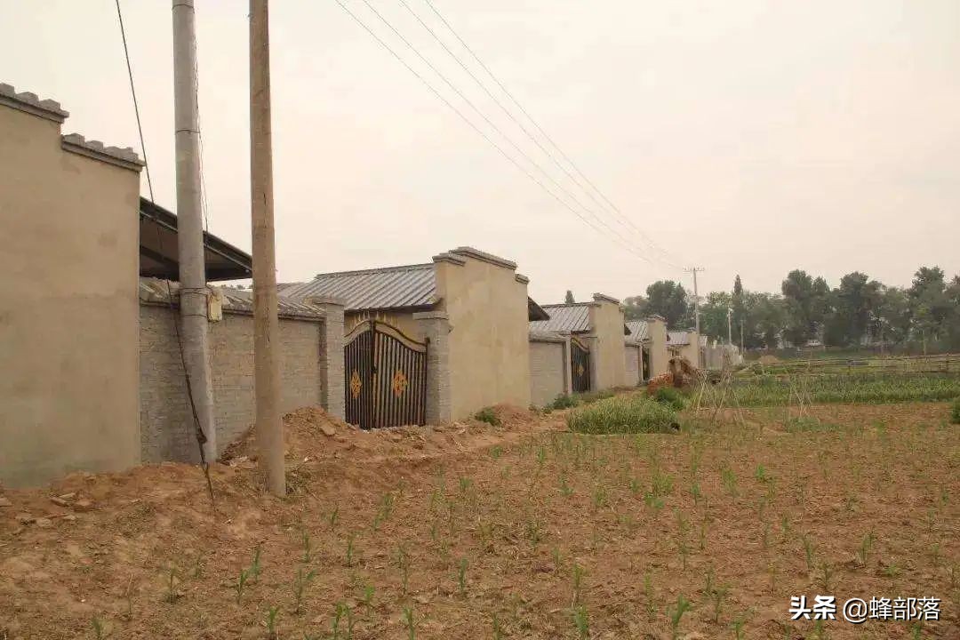 9月土地新规落地，已经占用耕地建房的会被拆吗？分3种情况解决