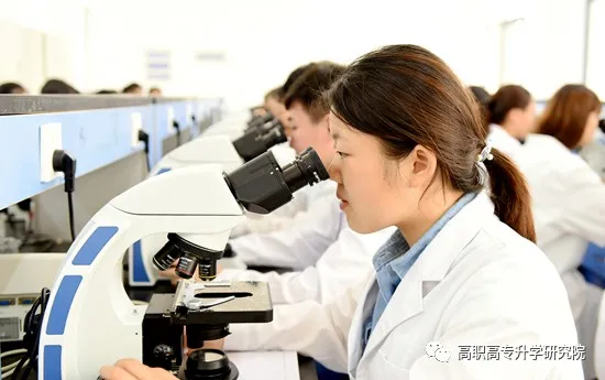 300分能上商丘医专吗,商丘医学高等专科学校怎么样(图21)